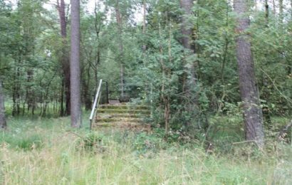 Isolated Staircases Are Being Found in National Forests