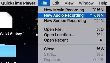 Method 4: Use QuickTime Player (Phone Calls & FaceTimes)